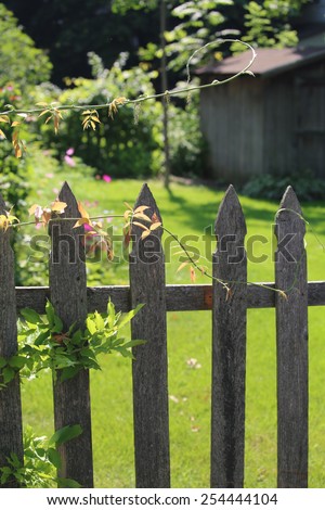 Old wooden picket fence in a backyard with green grass and a shed: beautiful backyard with green grass and a wooden picket fence