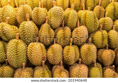 Durian fruit in the market, Thailand. King of fruits