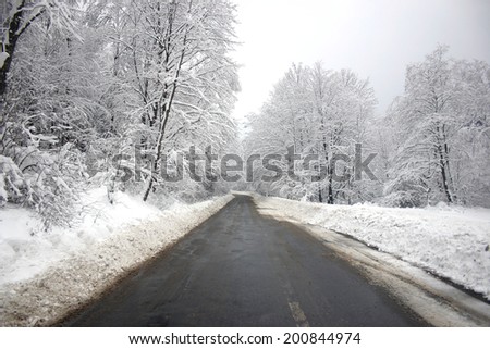 Black road in a forest during winter.