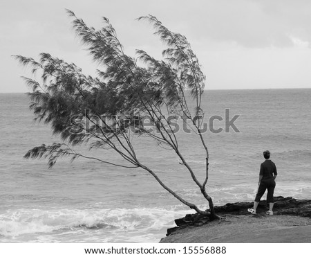 woman stands alone on a beach by a tree