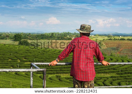 Relaxed Farmer, looking green tea.