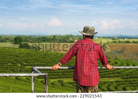 Relaxed Farmer, looking green tea.