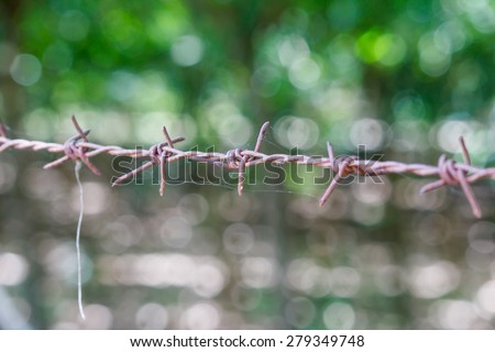 Sharp Barbed Wire Against Green Bokeh Background, soft focus