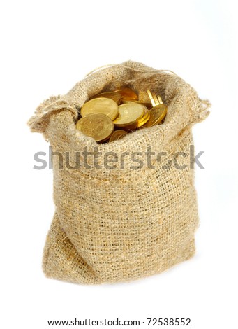 Gold Coins Bag