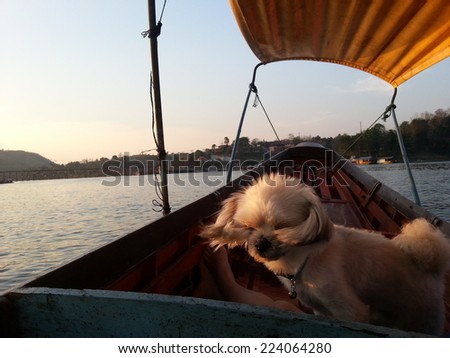 The dog on the boat