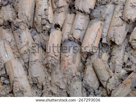 Clay Texture for Background