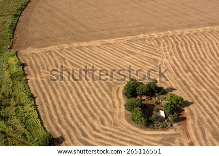 Soybean Farm - Aerial View