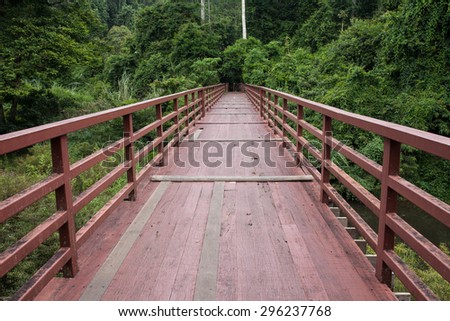 wood bridge  nature forest
