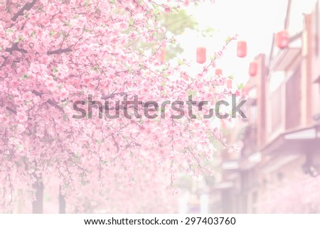 beautiful pink cherry blossom (Sakura) flower, and soft focus process with vintage japan building background.