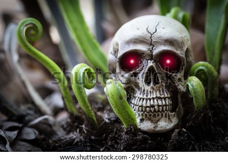 Close up skull human and red eyes shining light with new born fern.