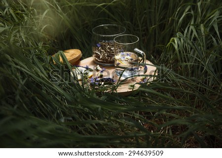 still life with tea in a grass