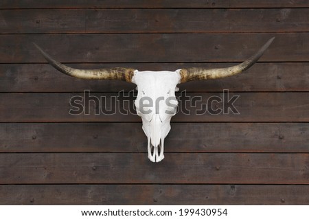 Buffalo skull on old wooden wall