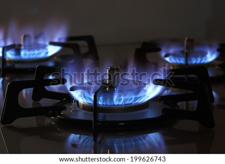 Gas Stove Burner Blue Flame