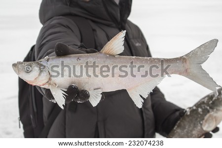 Ice fishing in Russia on Amur river. ?????????. ?????? ??????? ?? ???? ????