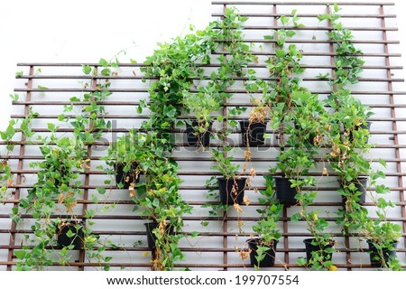 Vertical gardening concept on a rooftop of an office building