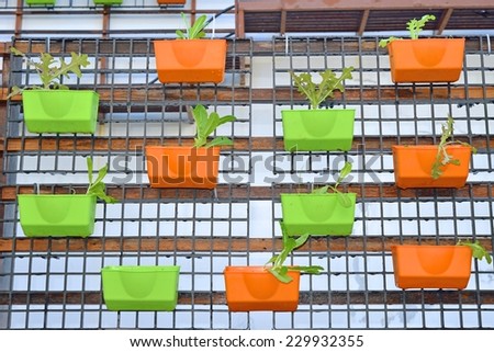 Vertical vegetable gardening concept on rooftop of an office building