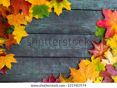 Beautiful colorful autumn leaves over wooden background. Autumn frame