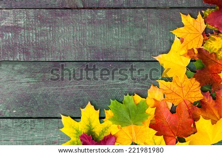 Beautiful colorful autumn leaves over wooden background. Autumn frame. Copy space