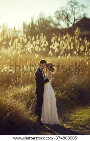 young wedding couple, beautiful bride with groom portrait on the sunset near the ears of wheat, summer nature outdoor