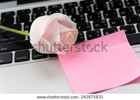 white and pink rose with pink paper note on laptop