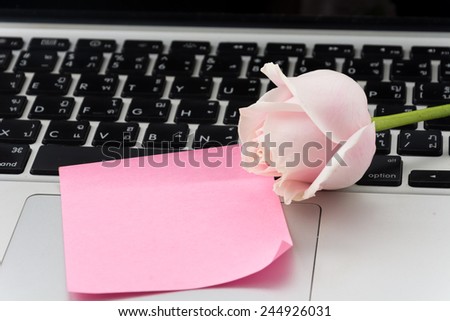 white and pink rose with pink paper note on laptop