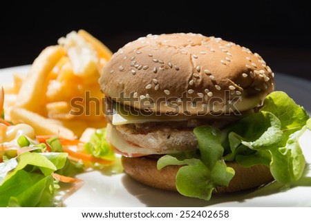 Crispy Chicken Burger on plate
