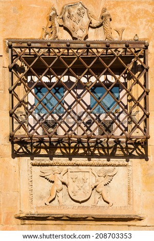 Beautiful window and hard forge with birds in The House of Shells Salamanca Spain