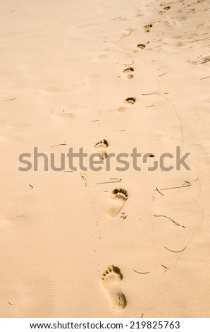 Footprints in the background sand.
