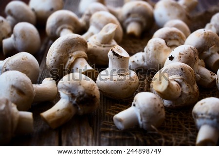Harvest of White Mushrooms on jute and wooden texture. Selective focus.