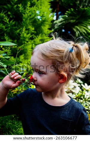 Little blond girl smells flower. Childhood, gesture and people.