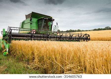Combine harvester at work harvesting field of crop. Harvest season themes and other agriculture