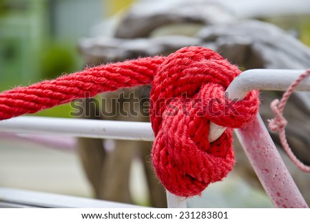 red rope of horse carriage