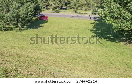 Summer landscape park with lawn and trees bikeways