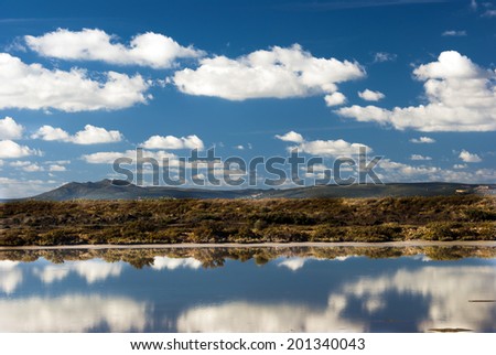 Mirror reflections in natural park waters. Sardinia.Italy.Europe/Mirror Reflections in Sardinia