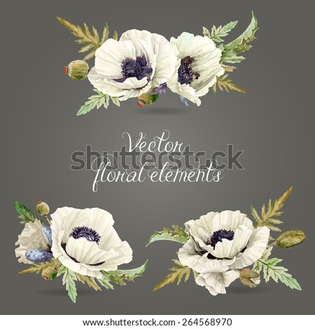 Set of floral elements for design. Vector illustration of white poppies, buds, leaves. Watercolor flowers.