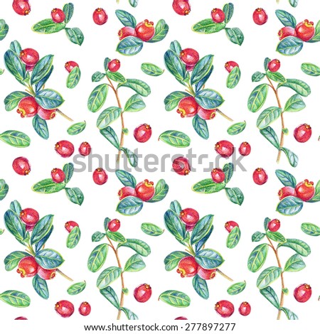 Seamless pattern with cranberry. Drawing with colored pencils. Colorful drawing of cranberry. Can be used for gift wrapping paper and other background.
