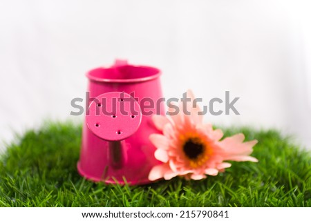 pink watering can  with pink artificial flowers on artificial Grass