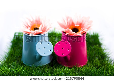 pink watering pot  with pink artificial flowers on artificial Grass