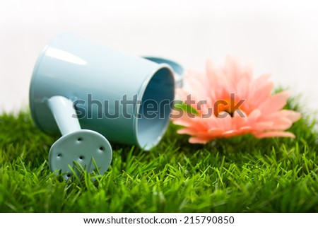 pink watering pot  with pink artificial flowers on artificial Grass