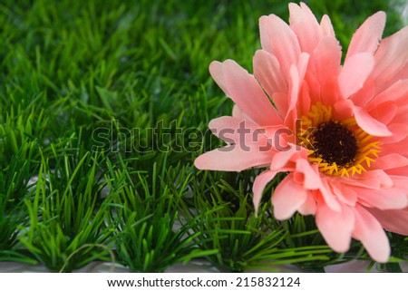 pink artificial flowers on  artificial grass.