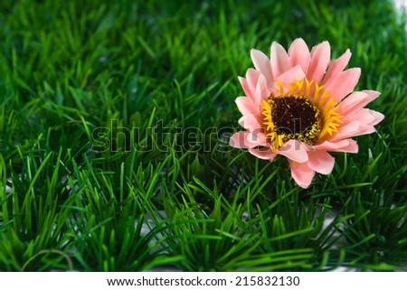 pink artificial flowers on  artificial grass.