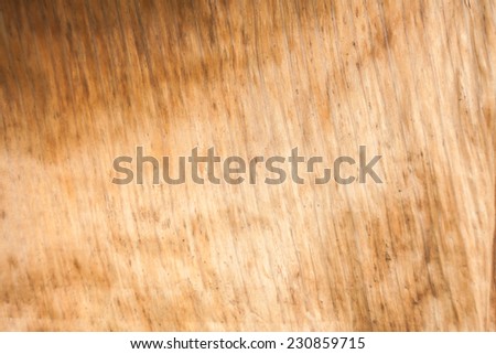 dry banana leaf texture background