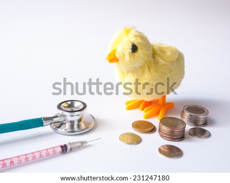 stethoscope , injection and money with chicken on white background. metaphor  solution for bird flu protection.
