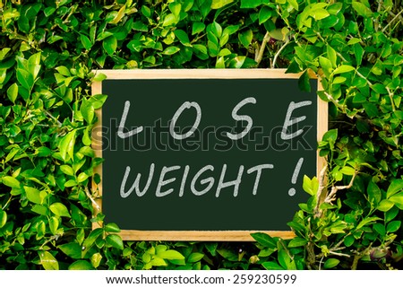 chalkboard on spring summer green leaves background,lose weight.