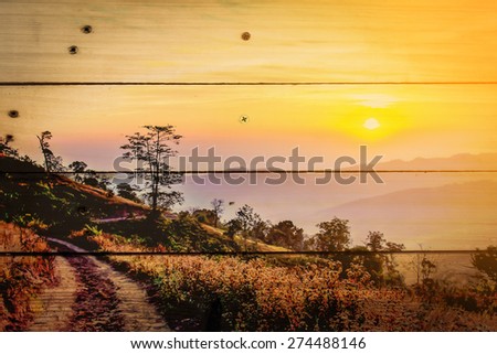 silhouette photo of grass flower field sunset on wooden texture, abstract background to happiness of nature. vintage color tone with filter color effect.