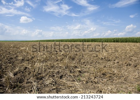 Arable land with corn field at back and white clouds in blue sky background