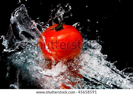 Tomato and splash water over black background