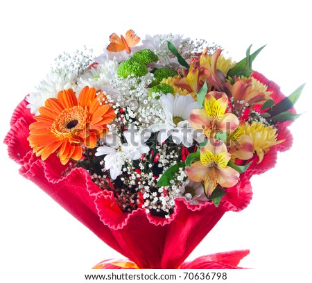 Bouquet Flowers on Photo   Beautiful Isolated Bouquet Of Flowers Over White Background