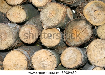 firewood logs in nature around the river Danube in Petrovaradin-Novi Sad-Serbia