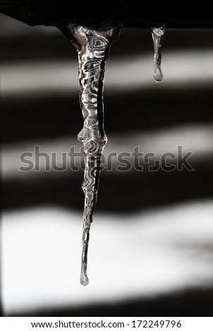 Row of long icicles on black and white background